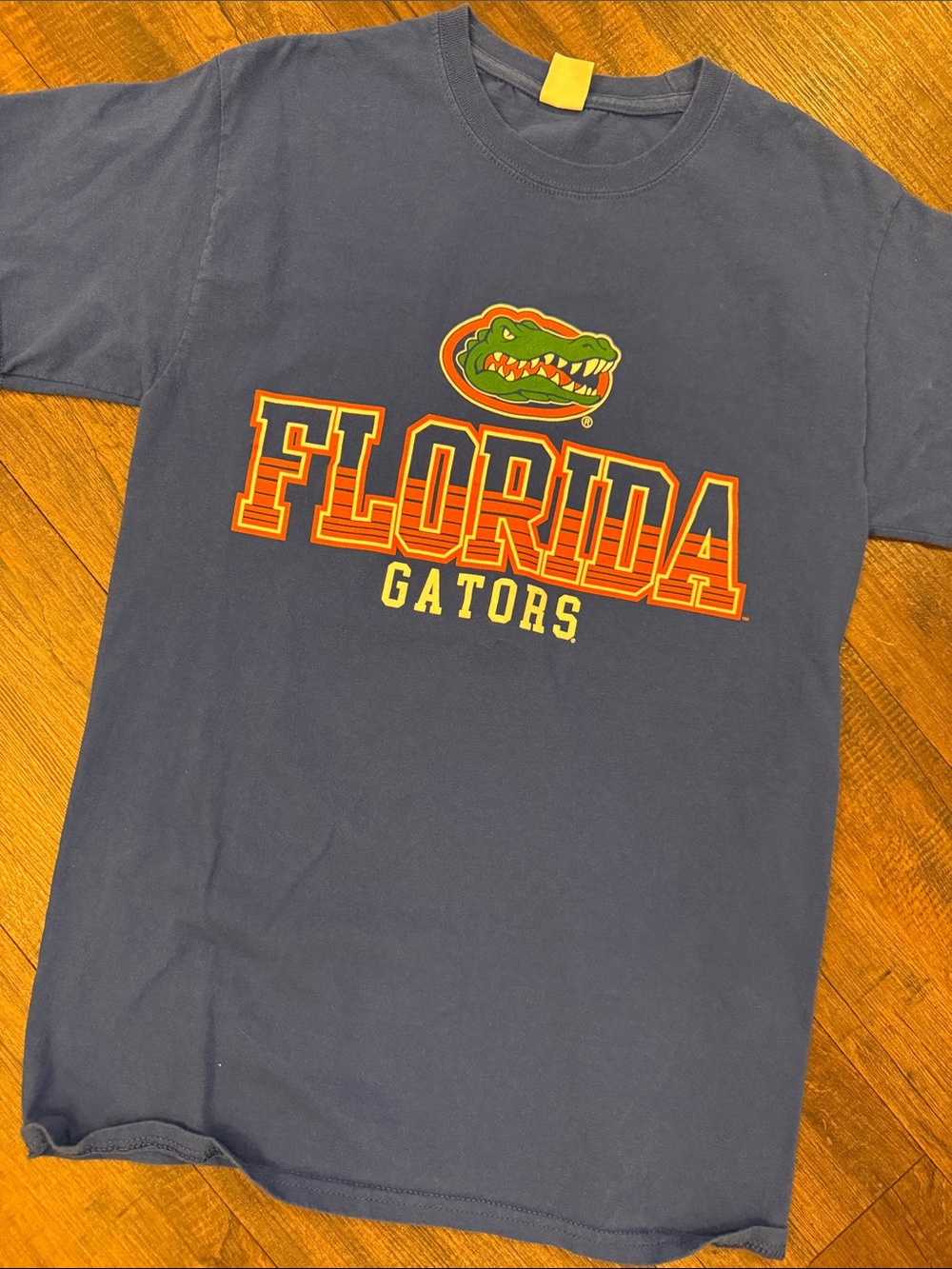 Florida Gators Blue Graphic Tee